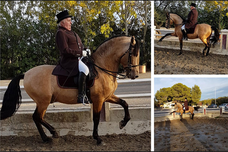 Chevaux et cavaliers UNPCS