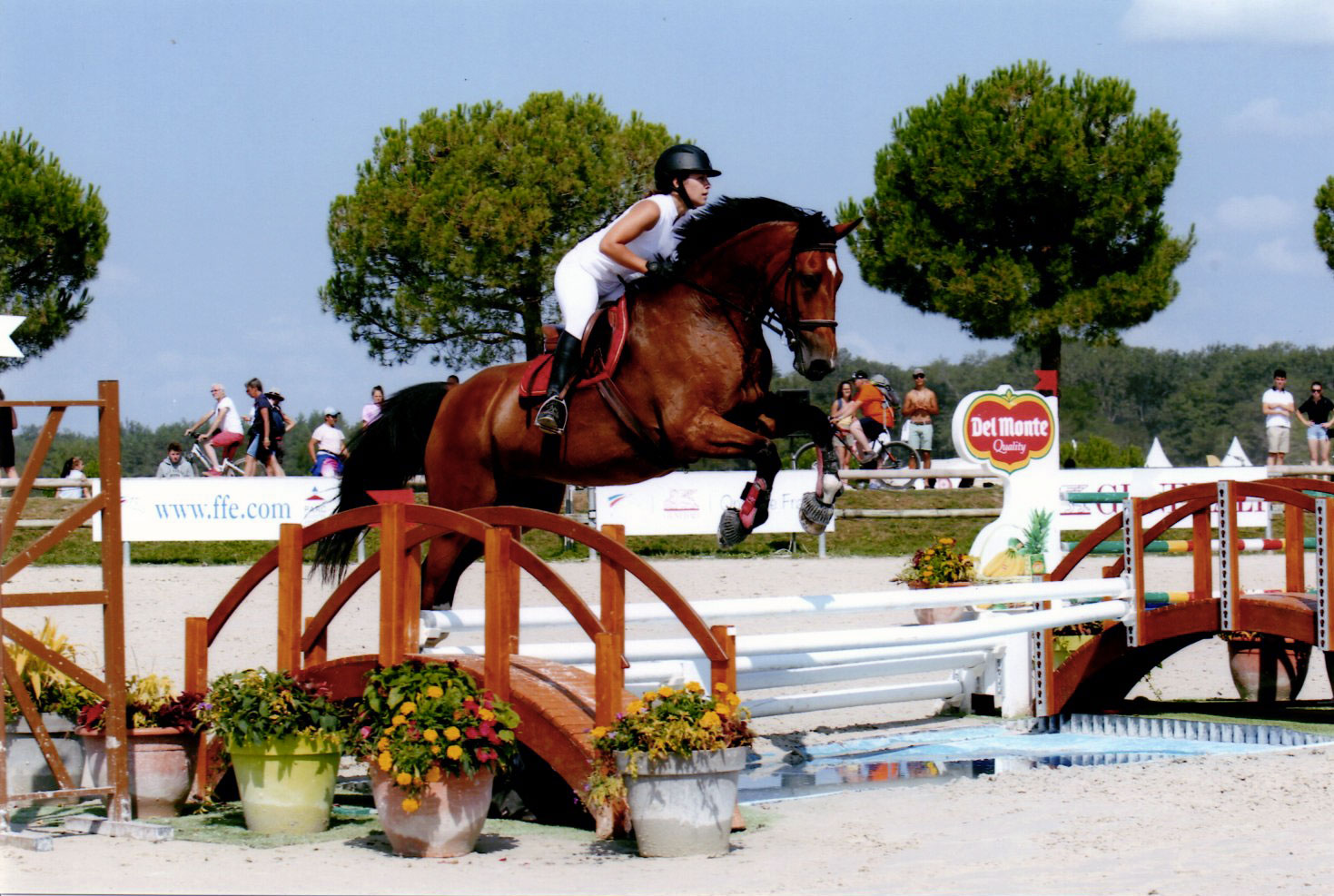 Chevaux et cavaliers UNPCS